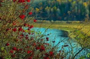 На фото река Оредеж